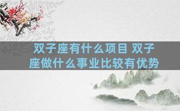 双子座有什么项目 双子座做什么事业比较有优势